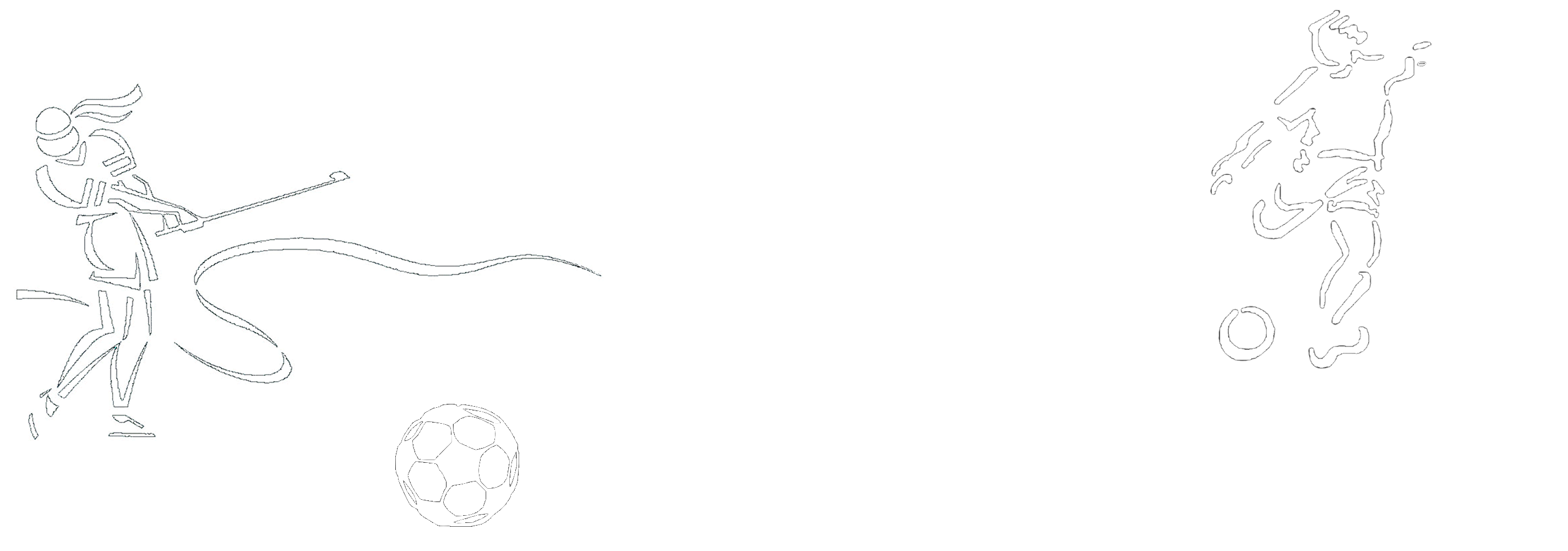 Premier Sports Simulators